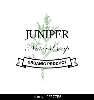 Logo Juniper Natural SOAP con elemento disegnato a mano isolato su sfondo bianco. Illustrazione vettoriale in stile vintage Illustrazione Vettoriale