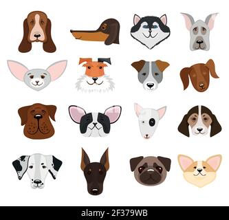 Set di cani muso e teste pedigree isolato su sfondo bianco. Illustrazione vettoriale Illustrazione Vettoriale