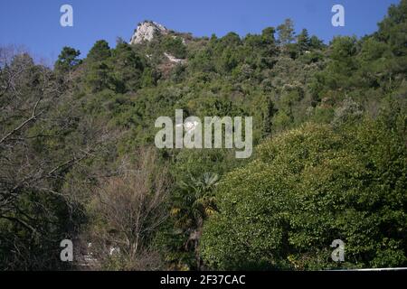 Vista panoramica di una collina coperta dalla vegetazione mediterranea una giornata di sole in inverno Foto Stock