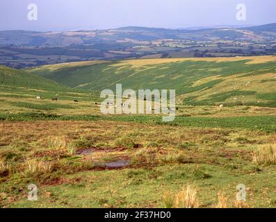 Parco Nazionale di Dartmoor, Devon, Inghilterra, Regno Unito Foto Stock