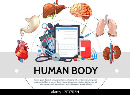 Cartoon elementi sanitari concetto rotondo con gli organi umani interni appunti pillole kit medico tonometro stetoscopio termometro siringhe isolate v Illustrazione Vettoriale