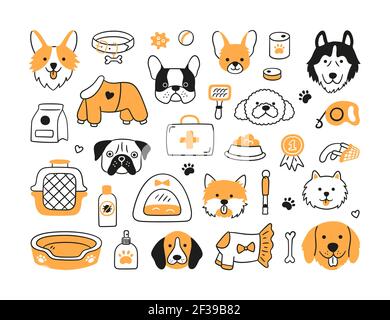 Set di teste di cani di razze diverse e accessori canini. Colletto, guinzaglio, muso, trasportatore, cibo, abbigliamento. Illustrazione Vettoriale