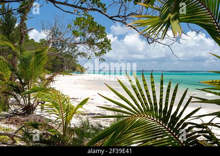 Bella spiaggia tropicale con sabbia bianca e mare turchese nel nord Ile Sainte Marie, malagcarafrica Foto Stock