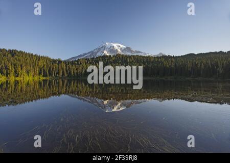 Mount Rainier, all'inizio del suo primo MorningRefection Lake Mount Rainier NP Washington state, USA LA001283 Foto Stock