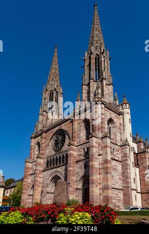 Obernai (Francia nord-orientale): La Chiesa di San Pietro e San Paolo, in stile neo-gotico, in arenaria rosa e grigia Foto Stock