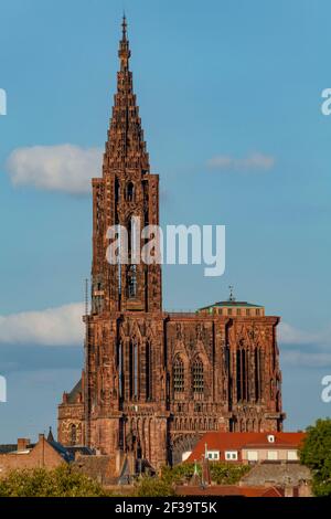 Strasburgo (67): La cattedrale cattolica di Strasburgo in architettura romanica, tra i migliori esempi di architettura gotica rayonnant Foto Stock