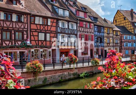 Colmar (Francia nord-orientale): Facciate di case a graticcio, tradizionali case alsaziane lungo il fiume Lauch nel quartiere turistico di Little VE Foto Stock