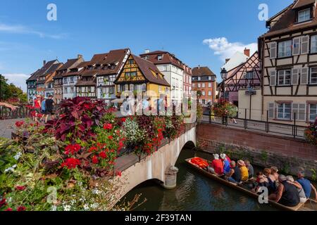 Colmar (Francia nord-orientale): Facciate di case a graticcio, case tradizionali alsaziane, banchina "quai de la Poissonnerie", con il ponte della st Foto Stock