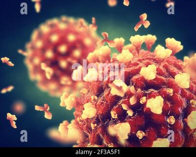 Il Coronavirus è un virus altamente contagioso che provoca gravi sindrosi respiratorie acute. La pandemia globale COVID-19 è causata dalla SARS COV-2. Foto Stock