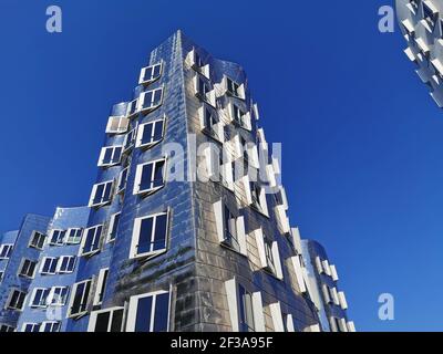 Nuovo cantiere doganale nel porto dei media, architetto Frank Gehry, Gehry Buildings, Düsseldorf, Renania settentrionale-Vestfalia, Germania / Neuer Zollhof im Medienh Foto Stock