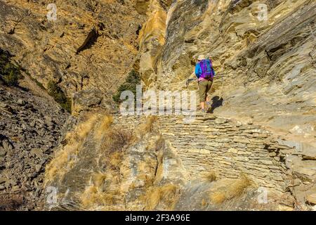 Donna trekking su una vecchia strada commerciale sul Dolpo Trekking circuito nella regione tipicamente tibetana occidentale del Nepal Dolpo Foto Stock