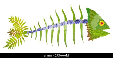 Scheletro di pesce fatto di foglie verdi e fiori. Isolato su collage fotografico bianco fatto a mano Foto Stock