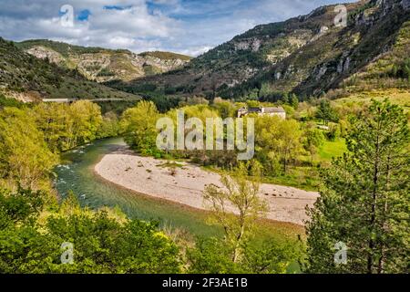 Charbonnieres Chateau, fiume Tarn, Gorges du Tarn, Massiccio Centrale, comune Gorges du Tarn Causses, dipartimento Lozere, regione Occitanie, Francia Foto Stock
