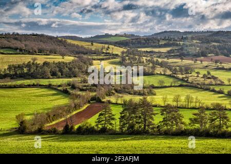 Campi, pascoli a Causse de Sauveterre altopiano calcareo, vicino a Point Sublime e Gorges du Tarn, Massiccio Centrale, Lozere, occitanie regione, Francia Foto Stock