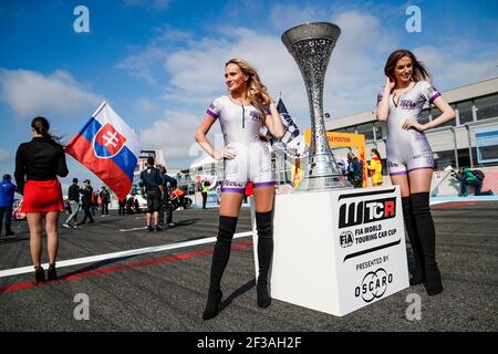 Il trofeo e le ragazze sulla griglia di partenza durante la gara 2019 della Coppa del mondo di Touring Car FIA WTCR della Slovacchia a Slovakia Ring, dal 10 al 12 maggio - Foto Florent Gooden / DPPI Foto Stock