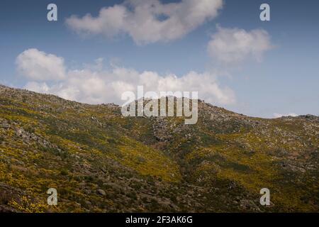 Armoniosa vista della catena montuosa ricoperta da una colorata vegetazione primaverile sotto un cielo blu nuvoloso, con ombre nuvolose sulle cime. Vista orizzontale. Foto Stock