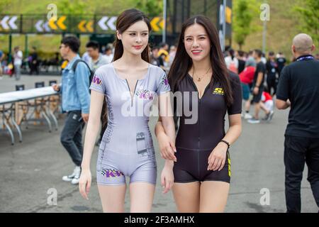 Girl Ambiance durante la Coppa mondiale di auto FIA WTCR 2019 della Cina, a Ningbo dal 13 al 15 settembre - Foto Clement Luck / DPPI Foto Stock