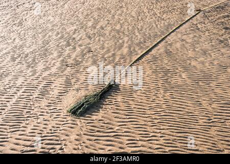 Il letto del fiume esposto a bassa marea sul fiume Gannel a Newquay in Cornovaglia. Foto Stock