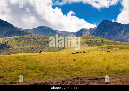 Vista della valle dalle piste da sci di Arcalis in La parrocchia di Ordino in Andorra Foto Stock