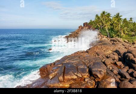 Splendido scenario della costa occidentale dello Sri Lanka. Foto Stock