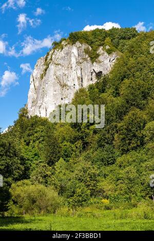 Picco di pietra calcarea di montagna Sokolica nella valle di Bedkowska all'interno del Giura Krakowsko-Czestochowska Upland vicino a Cracovia nella Polonia minore Foto Stock