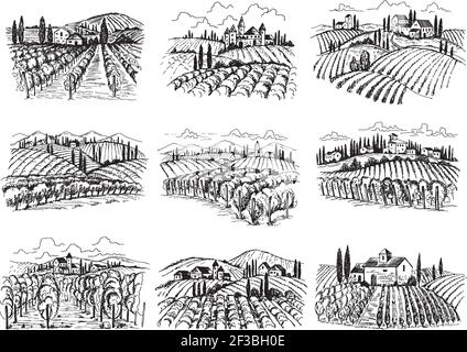 Vigneto paesaggio. Campi di uva fattoria con case agricole disegnate a mano illustrazioni vettoriali Illustrazione Vettoriale