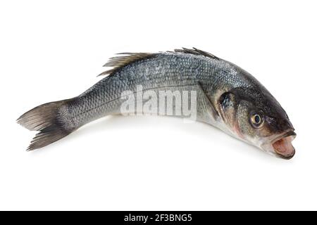 Fresco pesce basso isolato su sfondo bianco Foto Stock