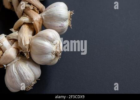 Aglio intrecciato o mazzo di aglio. Verdure raccolte su sfondo nero Foto Stock