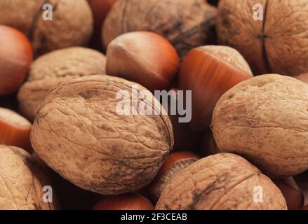 Gruppo di nocciole e noci come sfondo, primo piano Foto Stock