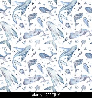 Spazio Whale Watercolor Pattern su sfondo bianco Foto Stock