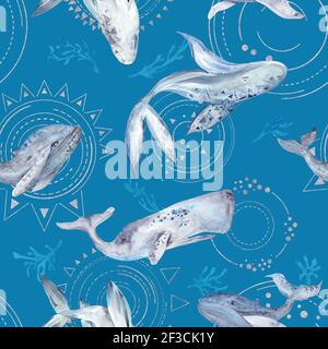 Spazio Whale Watercolor Pattern su sfondo blu Foto Stock