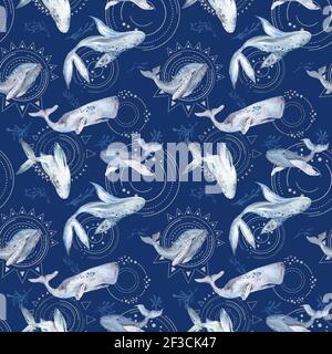 Spazio Whale Watercolor Pattern su sfondo blu Foto Stock