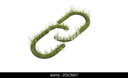 campo d'erba in 3d con fiori colorati a forma di simbolo di due maglie della catena sottili con terra isolata sfondo bianco Foto Stock