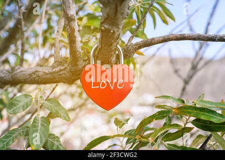 Il blocco di metallo rosso nella forma di un cuore pesa su un albero. Relazione, amore e datazione concetto. Foto Stock