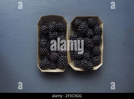 Vista dall'alto di due scatole di carta con bacche nere appena raccolte su sfondo grigio. Vitamine nel concetto di frutta fresca. Foto Stock