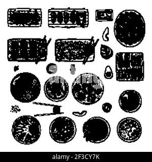 Cibo asiatico. Cucina cinese deliziosa cucina tradizionale vietnamita ciotola riso ristorante orientale vettore mano disegnato cibo vista dall'alto Illustrazione Vettoriale