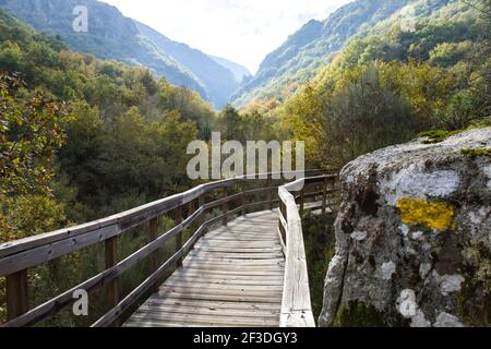 Passerella in legno nel Mao River Canyon, Ribeira Sacra, Galizia, Spagna Foto Stock