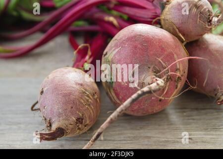 Barbabietole rosse sul tavolo del kichen Foto Stock