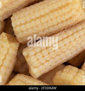 Vista molto ravvicinata delle pannocchie di mais biologiche in scatola. Foto Stock