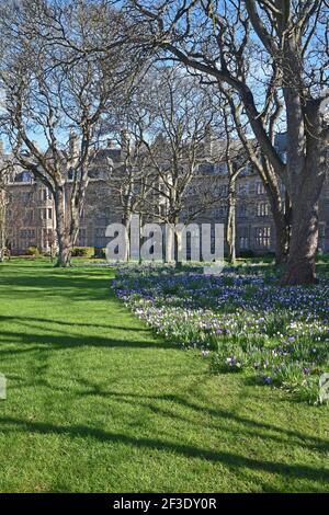 Esterno delle sale di residenza di San Salvatore presso l'Università di St Andrews in una giornata di sole Foto Stock