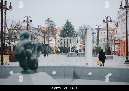 DISTRETTO DI BRCKO, BOSNIA-ERZEGOVINA - 24 dicembre 2020: Scatto diurno di 'Fontana della giovinezza' di Sead Ekmecic Foto Stock