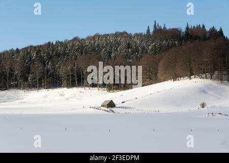 Fattoria in inverno, Parco Naturale Regionale dei Volcans d'Auvergne, Puy de Dome, Francia, Europa Foto Stock