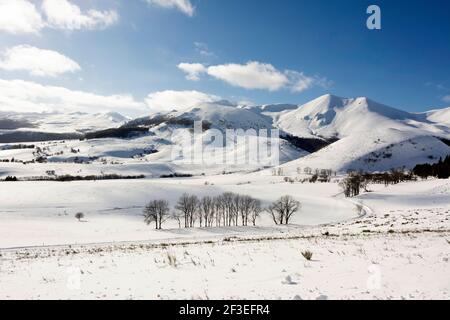 Il Monts Dore in inverno, Massif di Sancy, Parco Naturale Regionale dei Vulcani d'Alvernia, dipartimento Puy de Dome, Auvergne, Francia Foto Stock