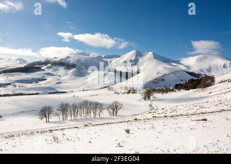 Il Monts Dore in inverno, Massif di Sancy, Parco Naturale Regionale dei Vulcani d'Alvernia, dipartimento Puy de Dome, Auvergne, Francia Foto Stock