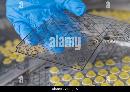 Dettaglio della scheda a circuito flessibile trasparente con strato di rame stampato. Tecnico mano che tiene piegato plastica elettronica FPC della tastiera interna del computer membrana. Foto Stock