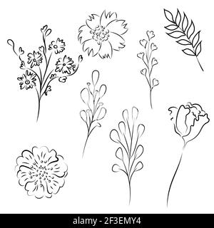 Schizzo del set di botaniche floreali. Disegni di fiori e foglie. Bianco e nero con linea grafica su sfondi bianchi. Illustrazioni disegnate a mano. Vettore. Illustrazione Vettoriale