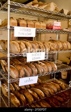 Panificio artigianale di pane Boulted a Raleigh, NC. Fondata nell'agosto 2014 da Joshua Bellamy, Sam Kirkpatrick e Fulton Forde. Foto Stock