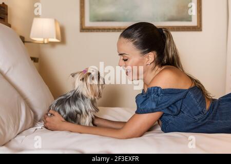 Vista laterale della bella signora sorridente e toccante adorabile Yorkshire Terrier mentre sdraiato su un comodo letto in una camera accogliente di hotel in cui sono ammessi i cani Foto Stock