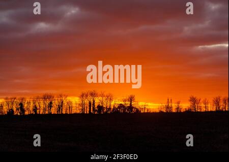 Tramonto dietro i boschi nei pressi di Hoo St Werberg Kent Foto Stock