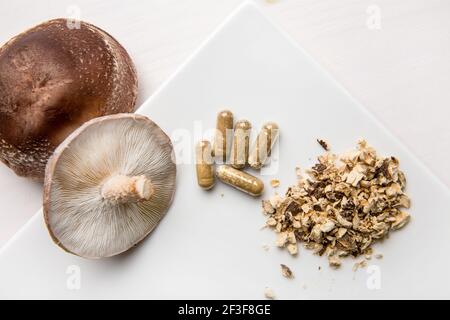 Shiitake Lentinus edoides capsule di supplemento funghi con funghi Shiitake freschi e in polvere su sfondo bianco minimo. Vista piatta. Foto Stock